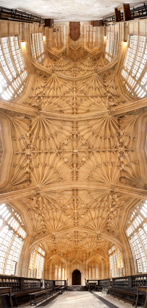 Divinity-School