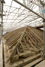 Old oak roof