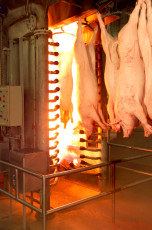 Industrial Photography - Food production
